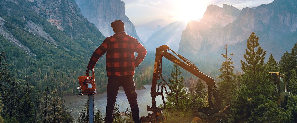 Lumberjack's Dynasty